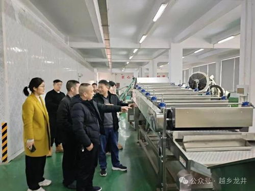 俞燎远研究员深入嵊州调研，为茶产业技术推广与升级把脉开方